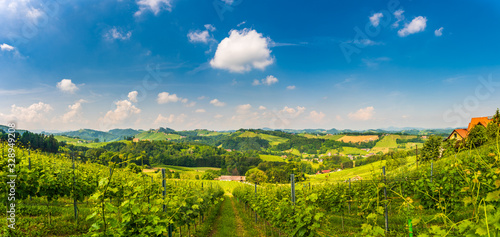 Austria Vineyards panorama Sulztal Leibnitz area famous destination wine street area south Styria , wine country in summer. Tourist destination. Green hills and crops of grapes. Tourist spot.