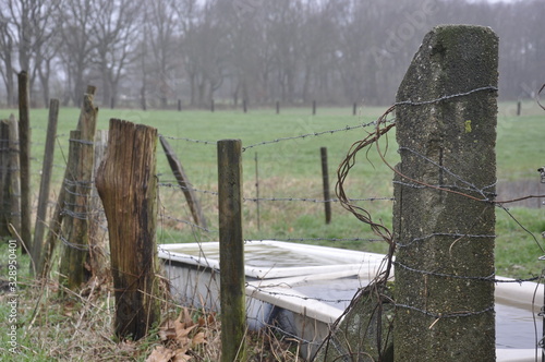 Bauernhof mit Trinkwasser in der Badewanne für Tiere