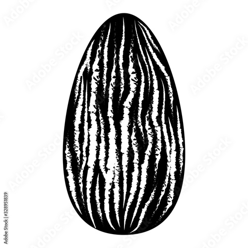 Almond Isolated Closeup in Black and White
