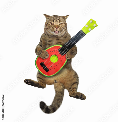 The beige cat is playing a watermelon acoustic guitar and singing a song. White background. Isolated.