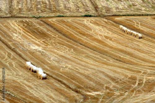 Feld mit Heuballen in der Crete Senesi photo