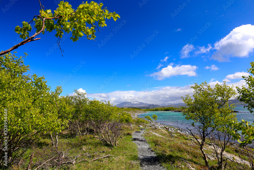 Summer landscape in green and blue skies in northern Norway