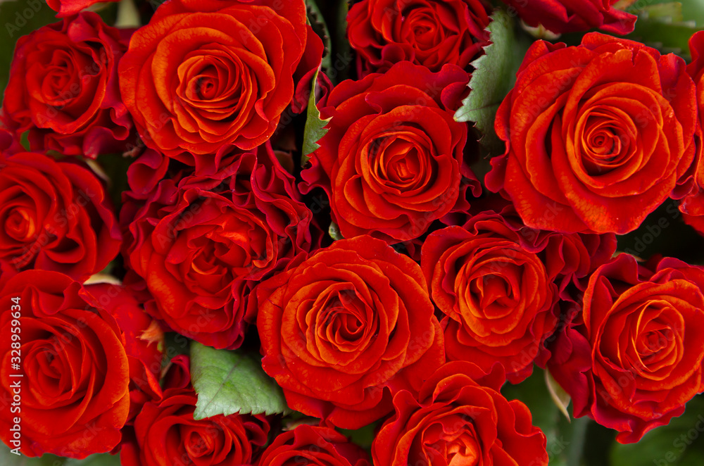 Natural red roses background. Bouquet of red roses on a black background. Top view. close up on red roses. Natural red roses background. Bouquet of red roses on a black background. Top view. close up on red roses.