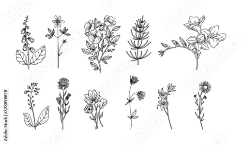 set of flower lineart for wedding and vintage decoration  floral illustration vector 