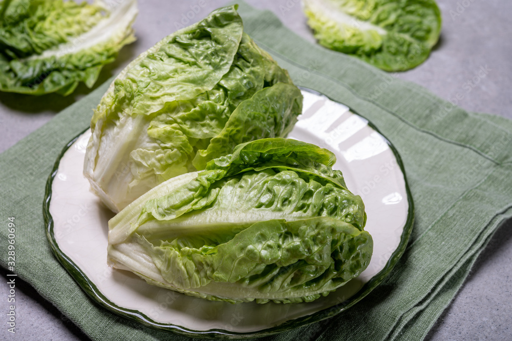 Fresh green raw Romaine or cos lettuce Fresh green raw Romaine or cos lettuce