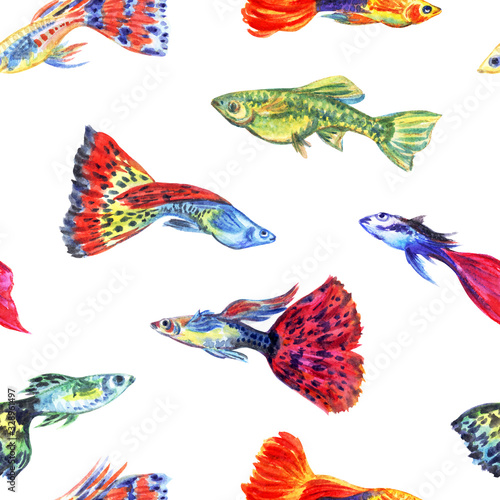 Guppy aquarium fish seamless pattern on white background, watercolor illustration, print for fabric, background for various designs.
