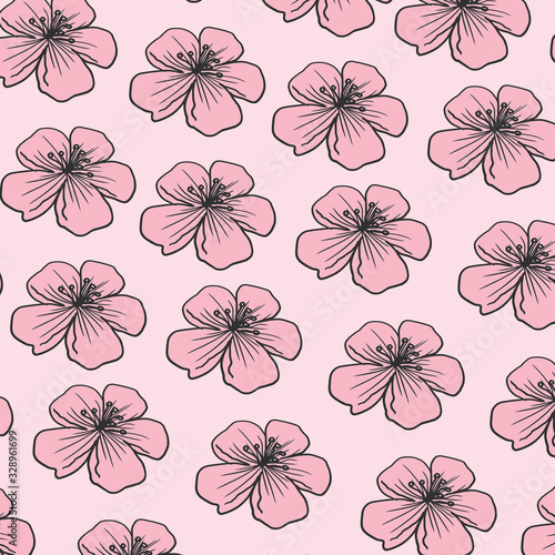 Cherry blossom pink pattern blooming spring flowers floral botanical background illustration for card design