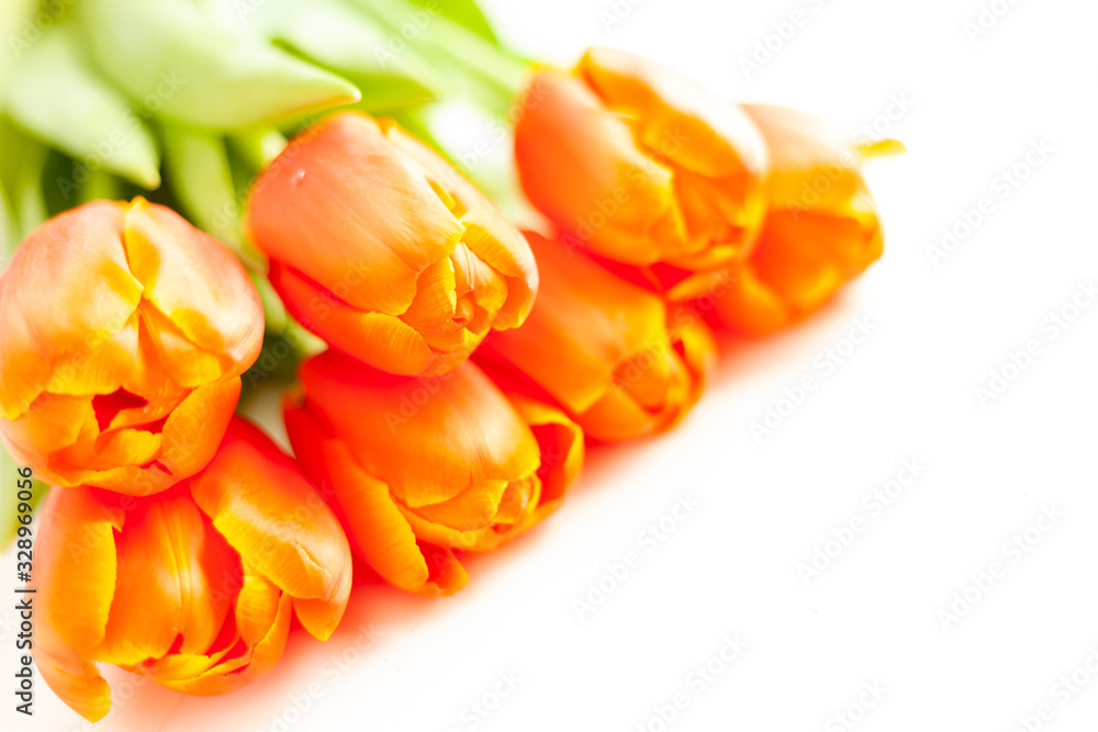Bouquet of tulip lush lava. Bright spring orange flowers. Bouquet of tulip lush lava. Bright spring orange flowers.