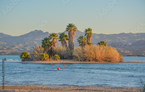 Lake Havasu National Wildlife Refuge on the Colorado River in Mohave County, Arizona USA photo