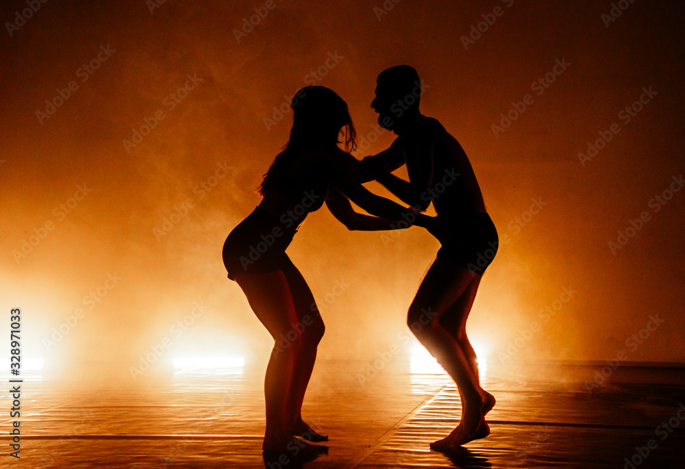Elegant refined ballet Elegant refined ballet