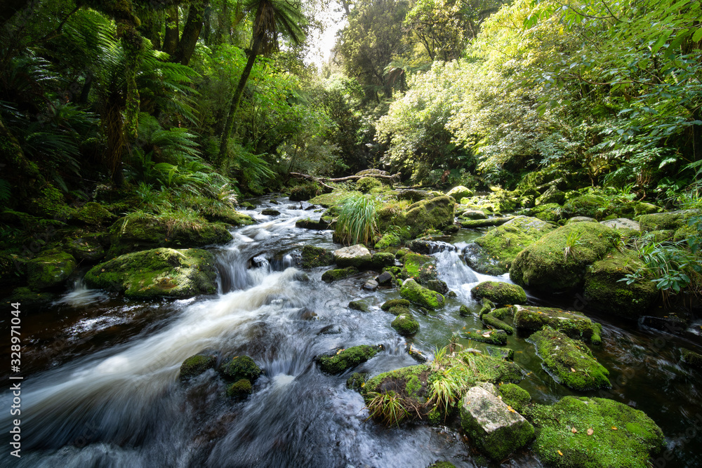Beautiful waterfall in New Zealand