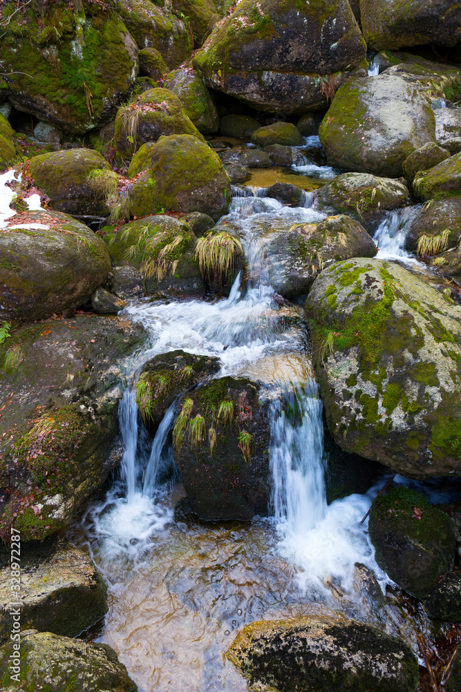 North Bohemia forest Landscape with White Stream, Jizera Mountains, Czech Republic North Bohemia forest Landscape with White Stream, Jizera Mountains, Czech Republic