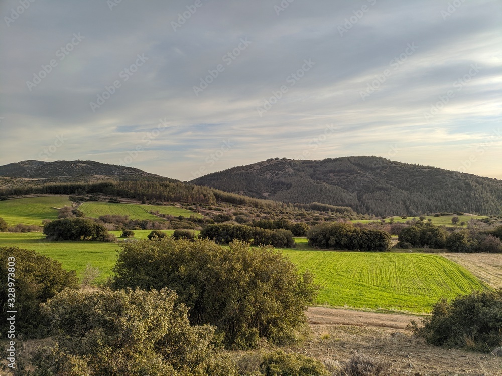 landscape with green field and blue sky landscape with green field and blue sky