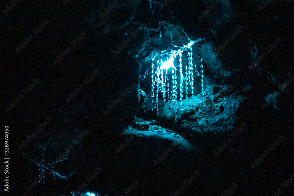 Beauty of nature with glow worms in the dark Stock Photo | Adobe Stock