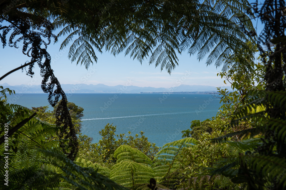 beautiful view of Abel Tasman track
