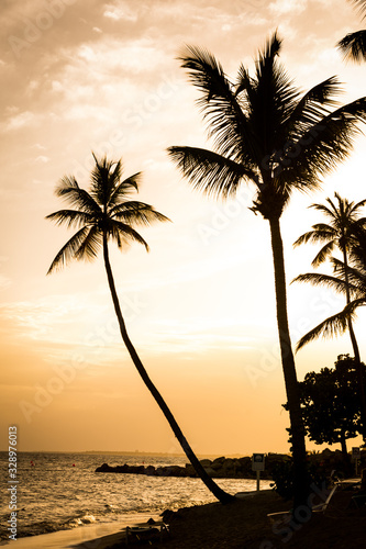 Fototapeta Naklejka Na Ścianę i Meble -  sunset on the beach