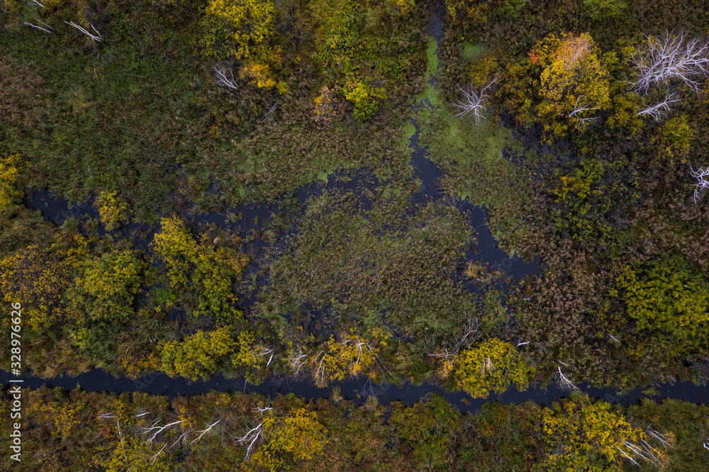 Nature and landscape: aerial view of forest and lakes, autumn leaves, foliage, greenery and trees in wilderness landscape. Nature and landscape: aerial view of forest and lakes, autumn leaves, foliage, greenery and trees in wilderness landscape.