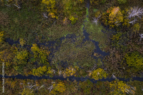 Fototapeta Naklejka Na Ścianę i Meble -  Nature and landscape: aerial view of forest and lakes, autumn leaves, foliage, greenery and trees in wilderness landscape.