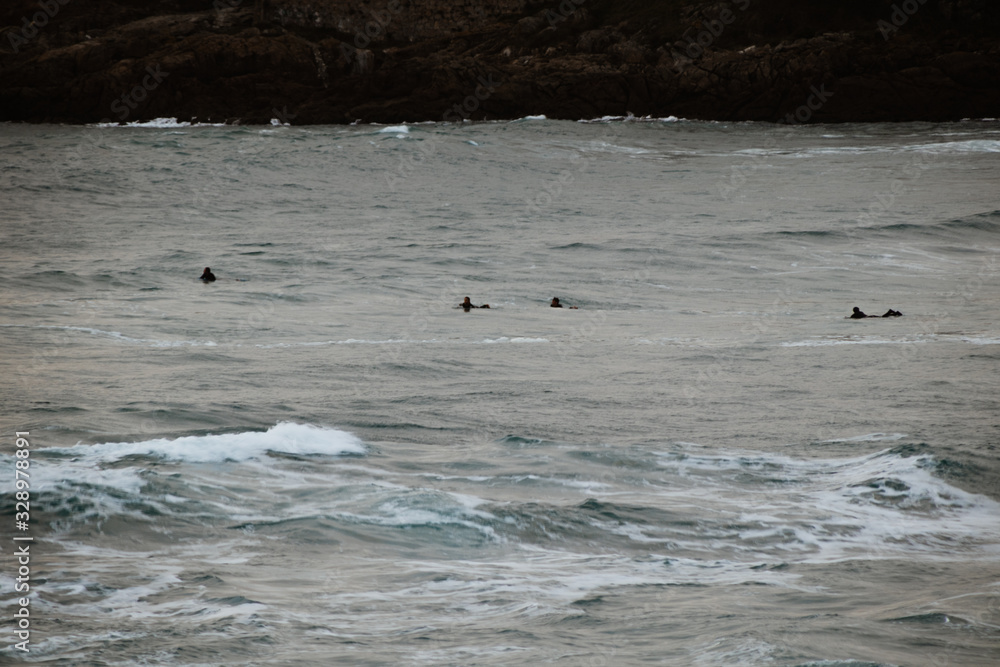 Obraz premium Surfers swimming to the peak of the beach