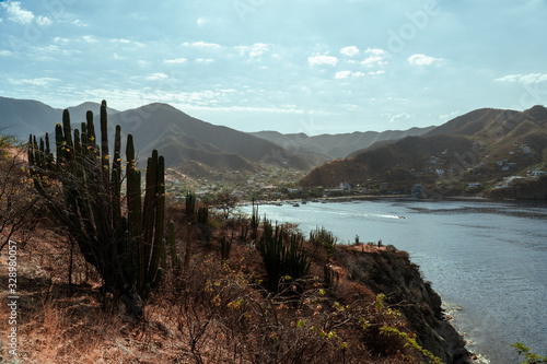 cactus grande y al fondo un pueblo en la orilla de la playa