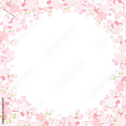 桜フレーム 円