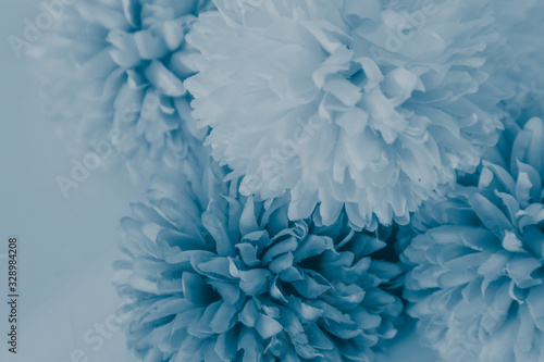 Beautiful abstract color white and blue flowers on white background and white graphic flower frame and blue leaves texture, blue background, colorful graphics banner happy valentine day © Weerayuth
