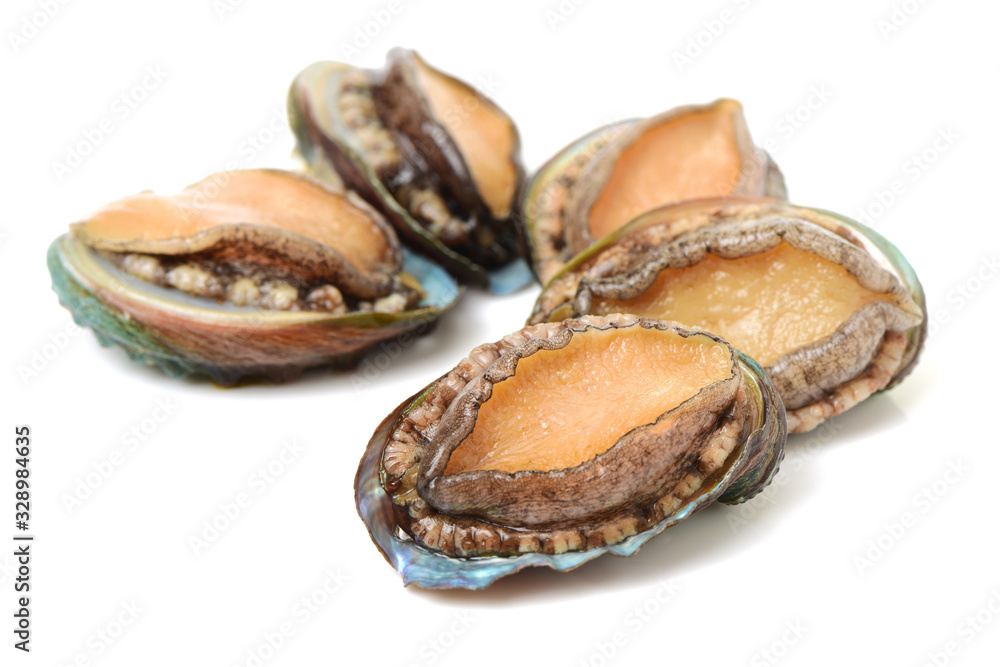 Raw abalones on the white background Raw abalones on the white background