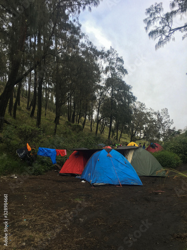 Camping Outdoors with views of pine trees and green grass in mount lawu central java