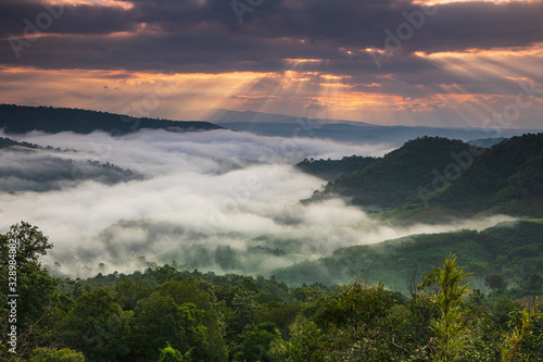 Phu Pha Nong, Landscape sea of mist  in border  of  Thailand and Laos, Loei  province Thailand. © Nakornthai