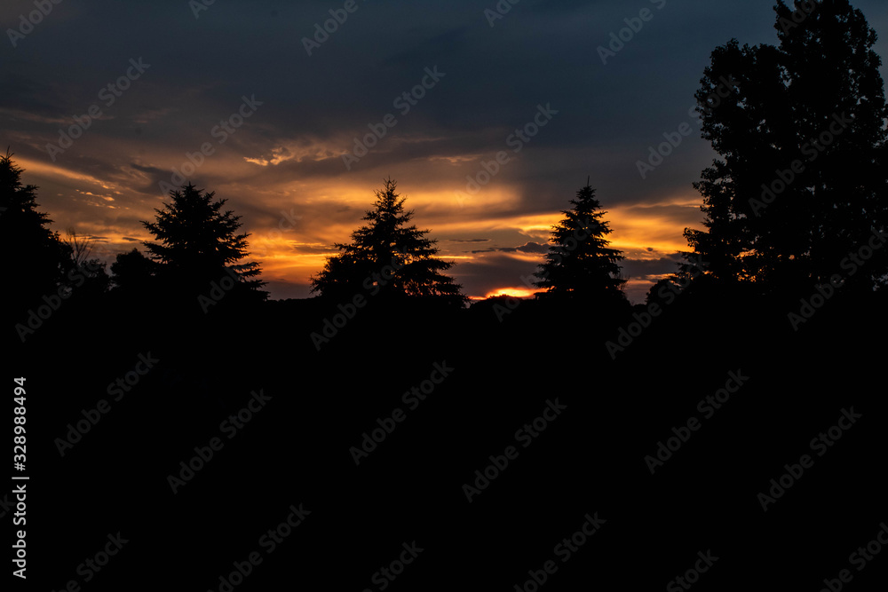 Silhouette Pine Tree Landscape sunset sunrise (2)