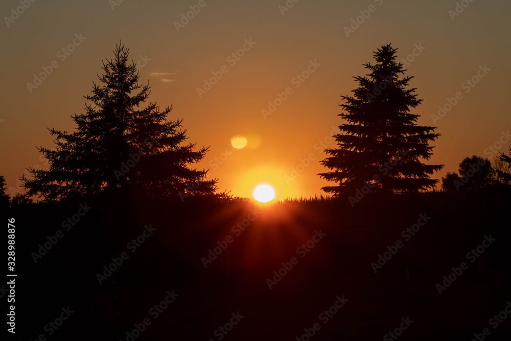Silhouette Pine trees and Orange Sunset