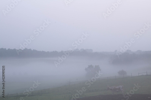 Fog with Hilly Meadow (5)