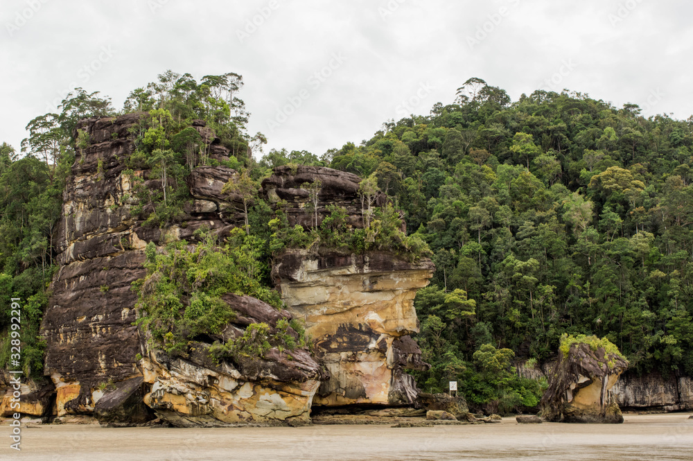 Cliff of the Bako national park bay