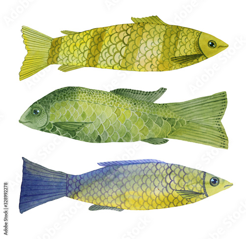 Photography Set watercolor hand-drawn green and yellow fish naive art object isolated on whi