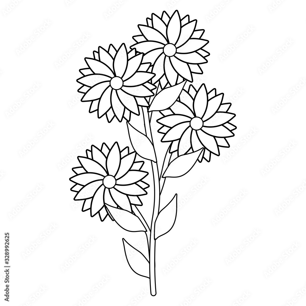 vector illustration of flower vector illustration of flower
