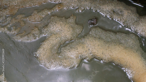 Photography Scum bubbles floating on a surface of polluted water
