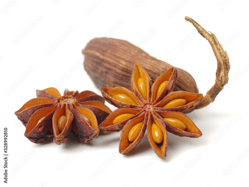 Fotografie Various seasonings on white background
