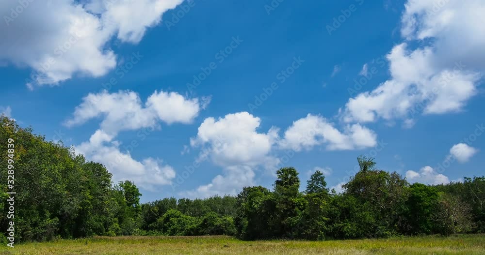 Timelapse of passing cloud with vivid blue sky over row of tree in the afternoon Timelapse of passing cloud with vivid blue sky over row of tree in the afternoon