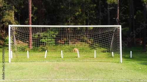 Wallpaper Mural Orbital footage of a empty goal keeper Torontodigital.ca