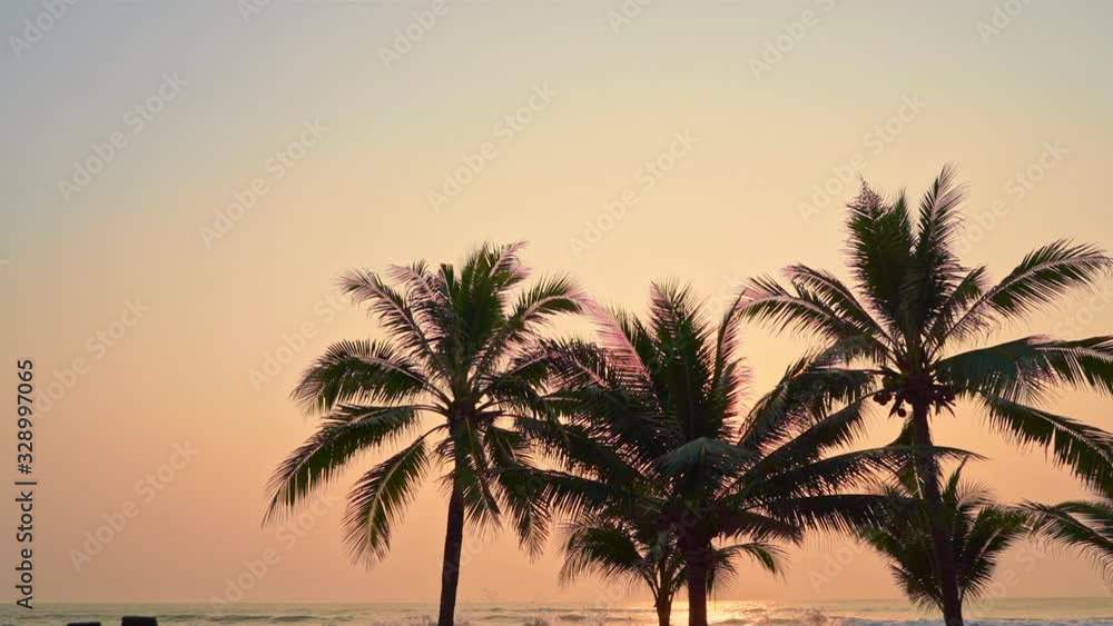 Beautiful pink pastel sky with wide palm trees in foreground and sunlight reflecting on the surface of the ocean. Waves breaking on an island shore with stunning sunset colors. Beautiful pink pastel sky with wide palm trees in foreground and sunlight reflecting on the surface of the ocean. Waves breaking on an island shore with stunning sunset colors.