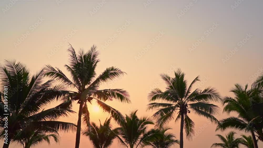 Tops of tall coconut palm trees against a beautiful pastel sunset sky. Tropical island paradise view of setting sun and gentle coastal breeze. Sun behind branches with stunning sky. Tops of tall coconut palm trees against a beautiful pastel sunset sky. Tropical island paradise view of setting sun and gentle coastal breeze. Sun behind branches with stunning sky.