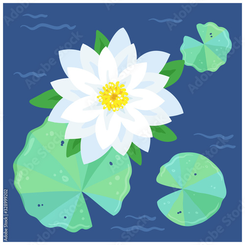 Flowering pond.  White  lily and green leaves on a classic blue background. Vector flat illustration