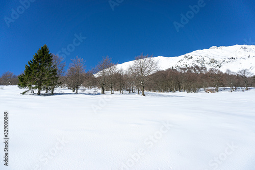 Monte Baldo in Winter 2