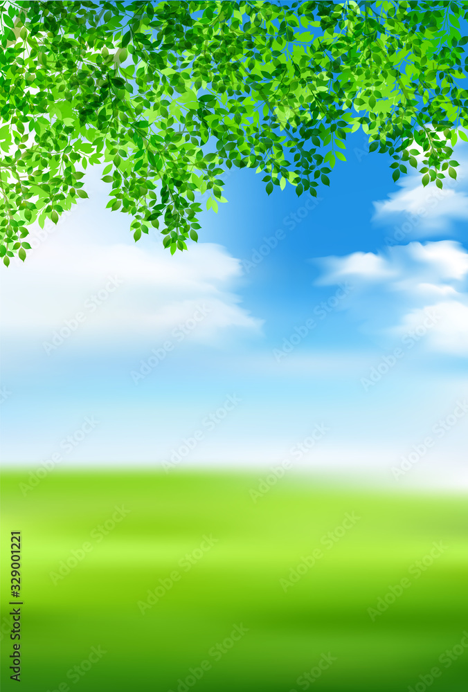 Obraz premium 新緑 葉 緑 背景