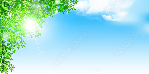 新緑　葉　緑　背景