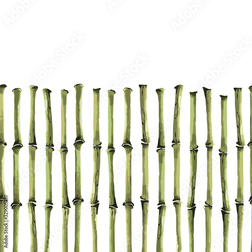 Bamboo Seamless Vertical border on white background photo