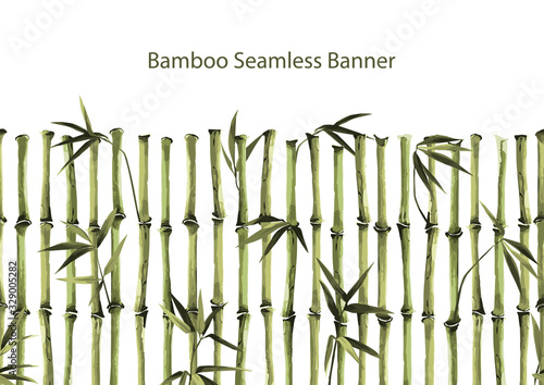 Bamboo Seamless Vertical border on white background photo