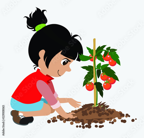 girl planting a tree vector illustration. kids planting an tomato plant  