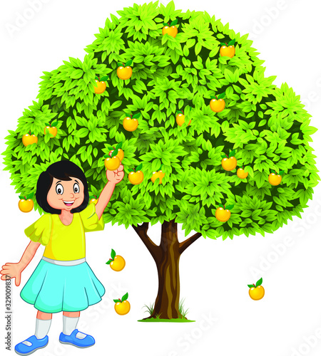 Girl plucking fruits from tree. Fruit tree vector illustration.