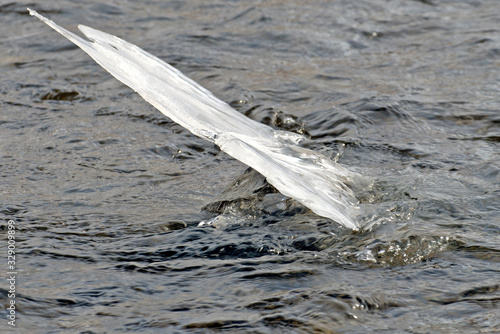 фотографія an ice floe washed by water in a river